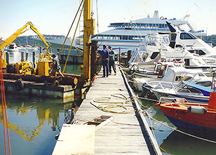1995.jpg